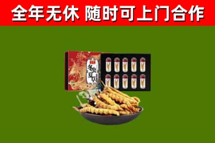 凤城回收冬虫夏草价格