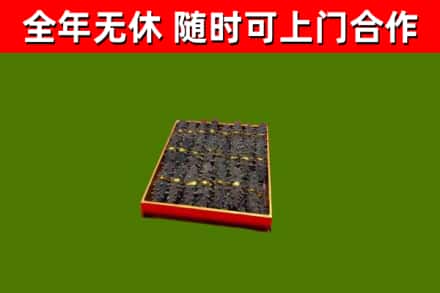 凤城回收海参